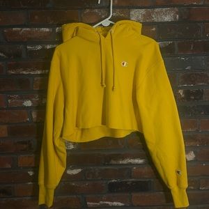 Cropped Champion Hoodie